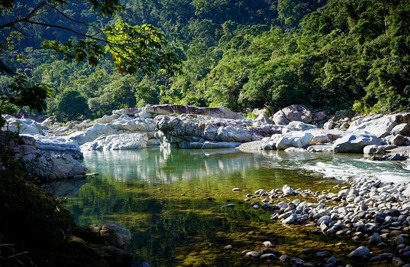 Pico Bonito National Park, Near La Ceiba, Atlántida, Honduras
